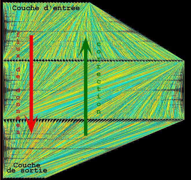 Réseau de neurones artificiels élaboré pour jouer la musique de Taire (les connections récurrentes de la couche interne vers l'entrée ne sont pas représentées). Les couleurs des liaisons représentent l'intensité des liaisons synaptiques : en couleurs froides des connexions inhibitrices, en couleurs chaudes les connexions excitatrices.