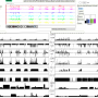 Ping...Song : analyse du mouvement et du jeu